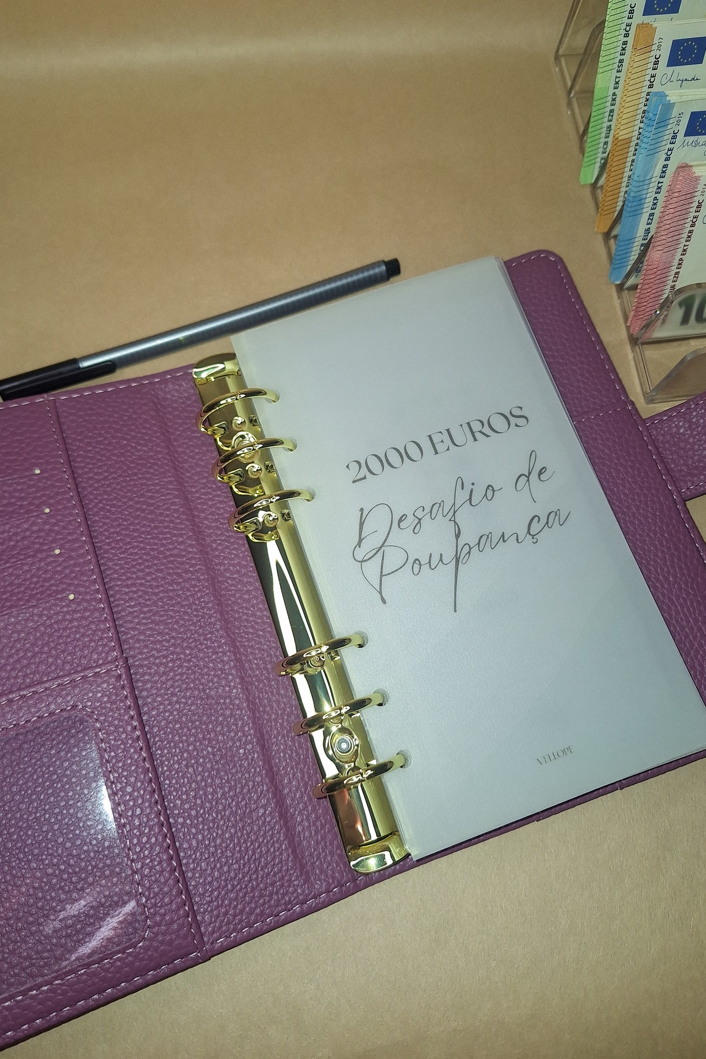 Desafio Anual + Binder A6